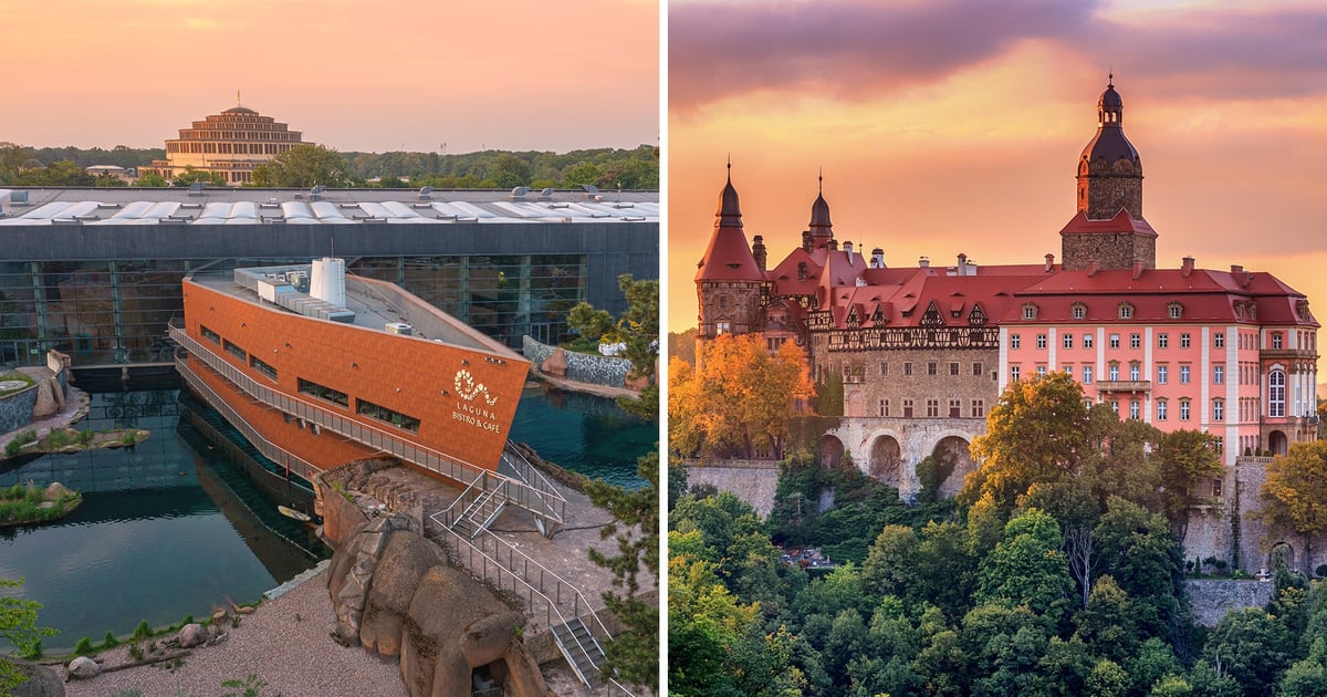 Wrocław walczy o 100 proc. frekwencji. Wyjątkowy pojedynek z Wałbrzychem