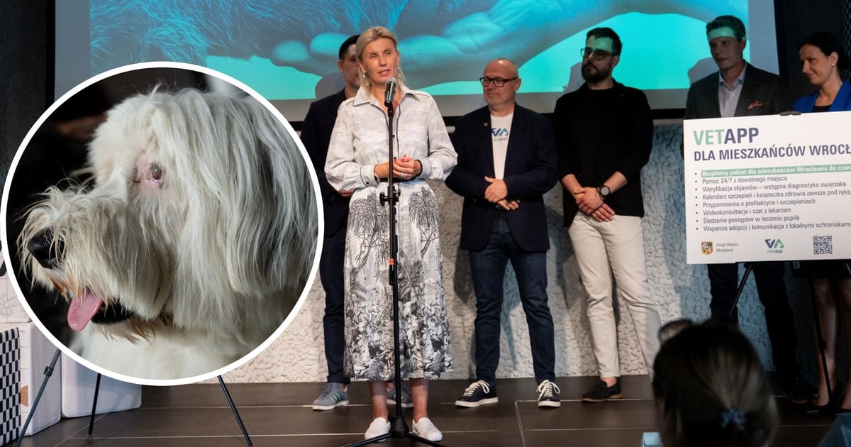 Innowacyjna aplikacja VetApp to hit! Wrocław pionierem w opiece nad zwierzętami
