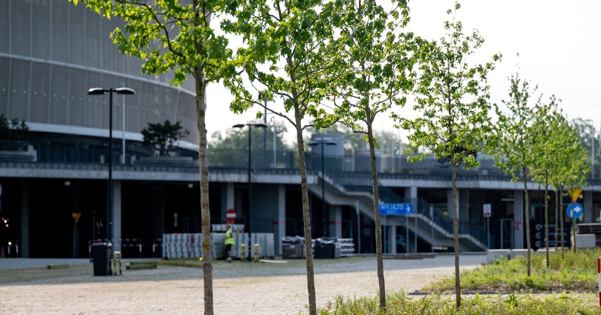 1800 nowych roślin na 700 mkw. - zakończono kolejny etap zazielenienia Tarczyński Areny