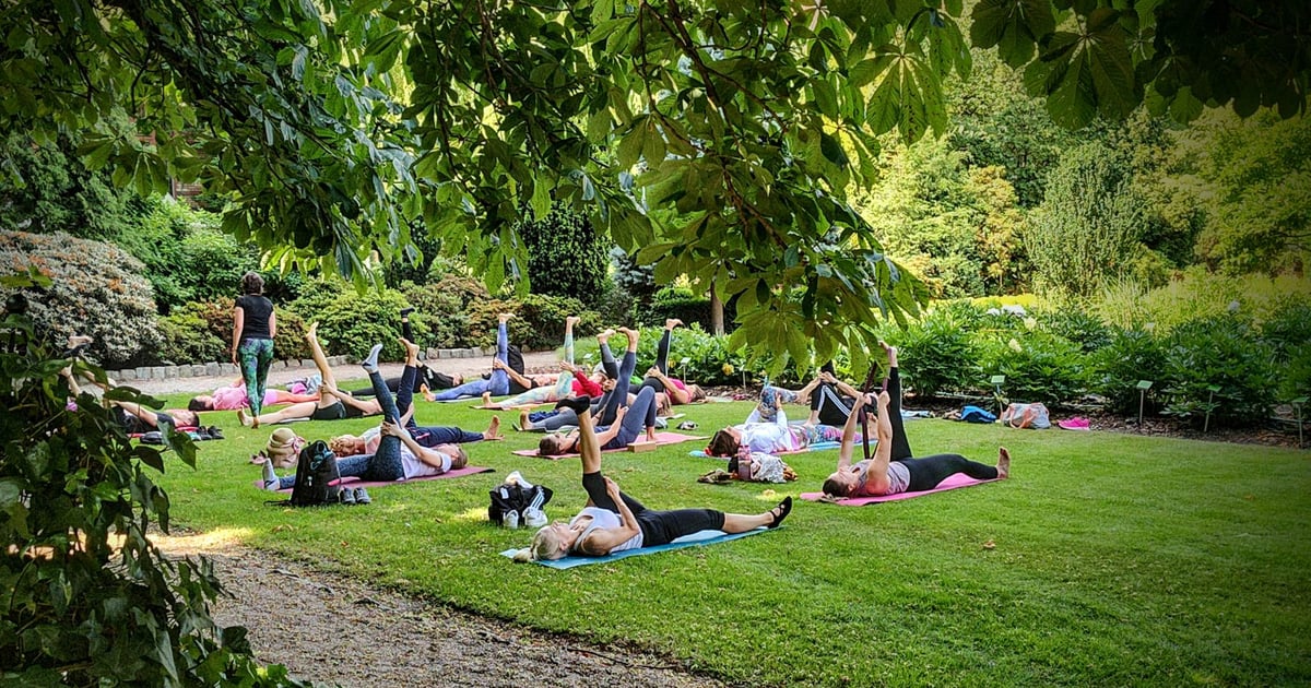 Trening dla duszy i ciała. Festiwal Jogi w Ogrodzie Botanicznym