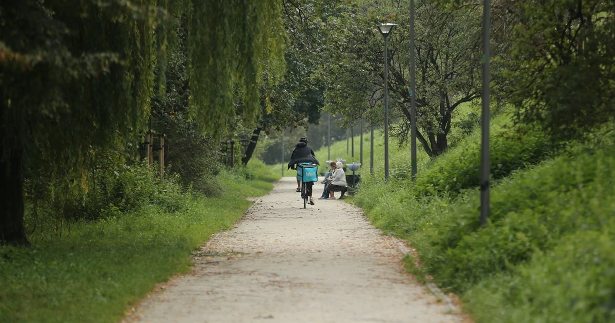 Mieszkańcy osiedla Gaj alarmują: Wzgórze Gajowe to nie miejsce na grilla