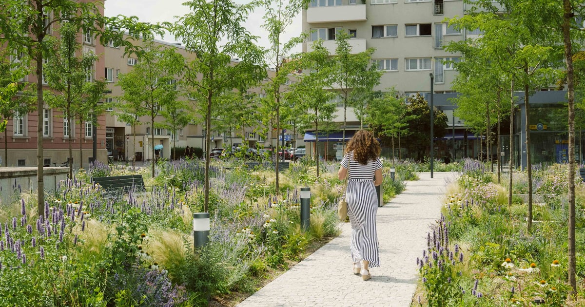 Długi dzień, krótki cień. Dziś pierwszy dzień astronomicznego lata