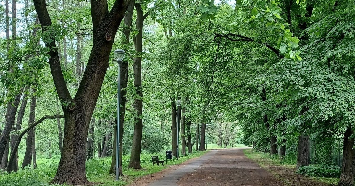 Rada Osiedla Zacisze-Zalesie-Szczytniki zostanie rozwiązana. Powodem – wieloletni konflikt i naruszenia statutu