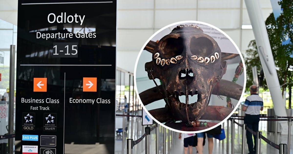 Za muszelkę z wakacji lub torebkę możesz zapłacić mandat lub...