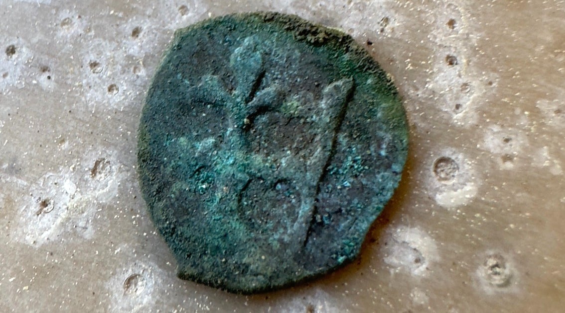 Skarb znaleziony pod Miliczem. Mnóstwo średniowiecznych monet