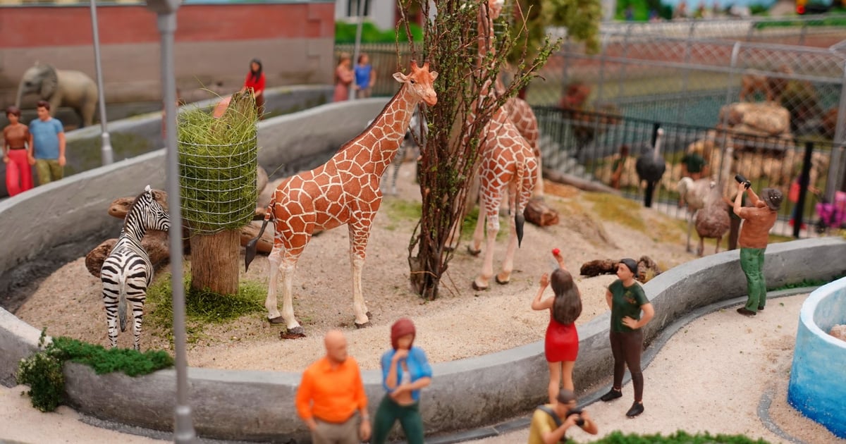 Miniaturowe ZOO w Kolejkowie. Specjalna makieta na wielki jubileusz