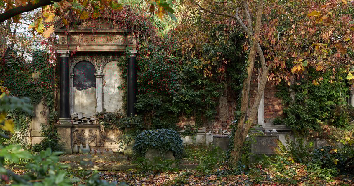 Tu nie ma murów Festung Breslau - obalamy mity o Starym Cmentarzu Żydowskim