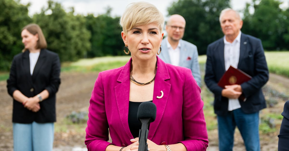 Jeszcze więcej warzyw i strefa edukacji. Nowy sezon Miejskiej Farmy Wrocław