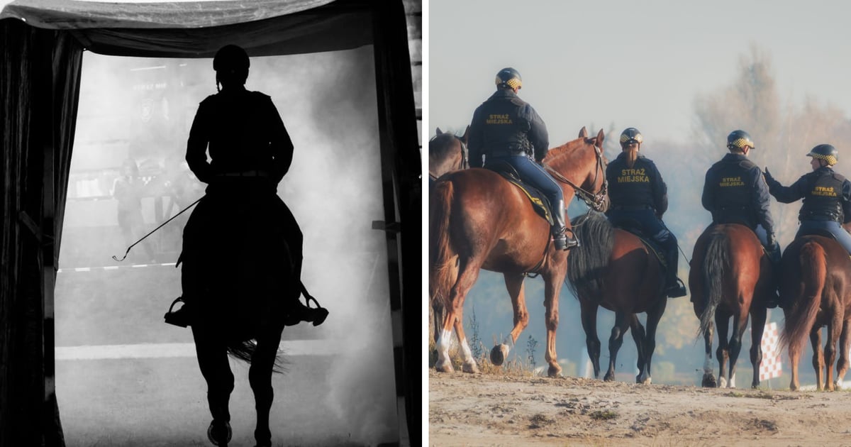 Opowieść o konnych patrolach Straży Miejskiej Wrocławia