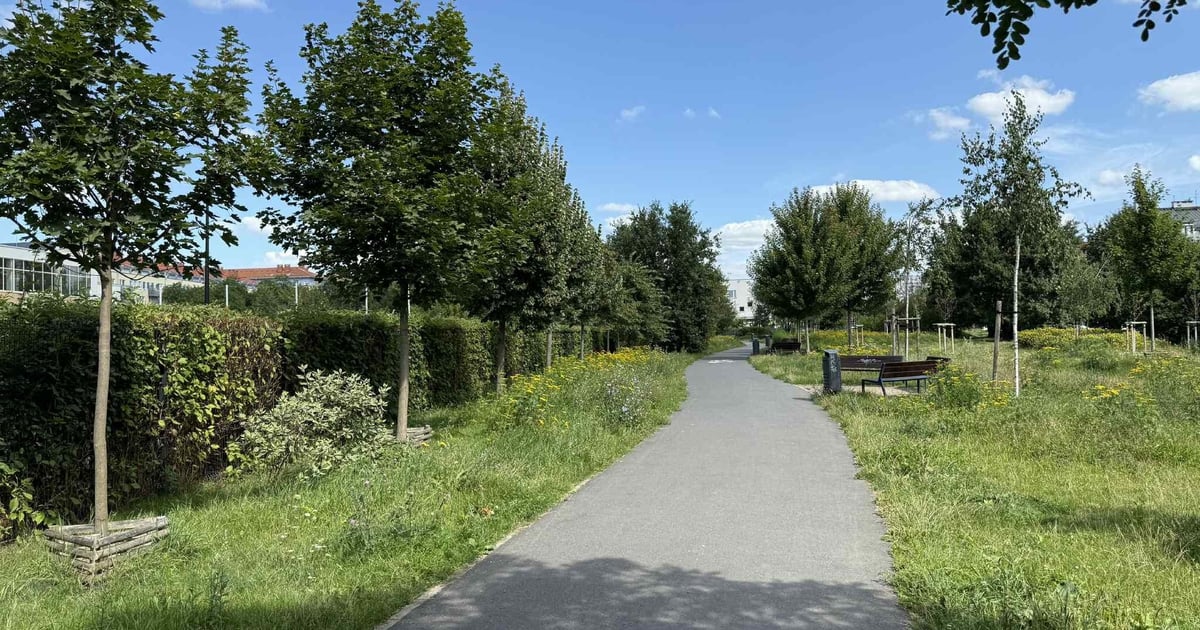 Jasna inwestycja dla Gaju – latarnie przy Kłodzkiej