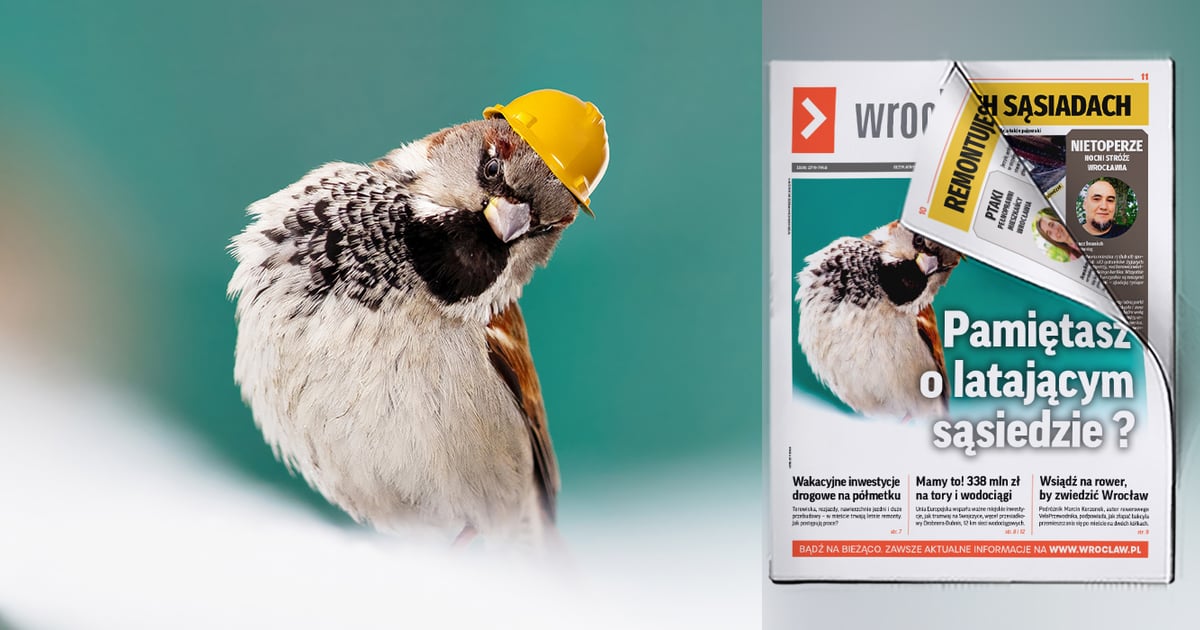 Pamiętasz o skrzydlatych sąsiadach? Remontuj dom, im nie burząc [BIULETYN]