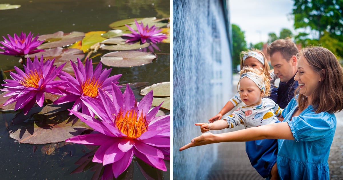 Te wrocławskie atrakcje będą otwarte w święto, 15 sierpnia