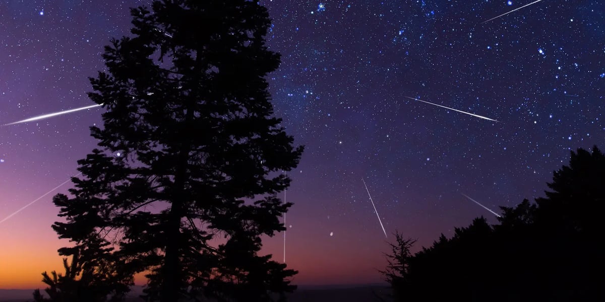 Perseidy w Arboretum. W sobotę podziwiaj gwiazdy w bajkowym miejscu