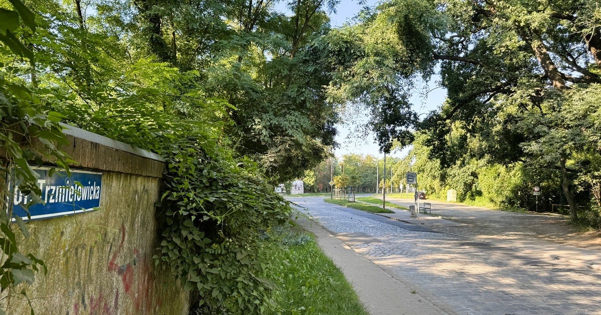 1,4 km drogi na zachodzie do przebudowy. Projektant poszukiwany