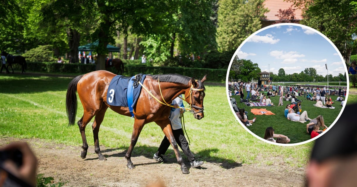 Najważniejszy weekend sezonu na Partynicach