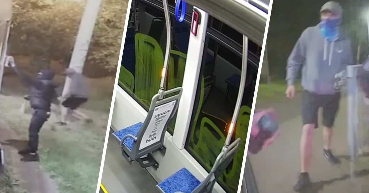 10 tys. zł nagrody za identyfikację wandali, którzy zabazgrali tramwaj