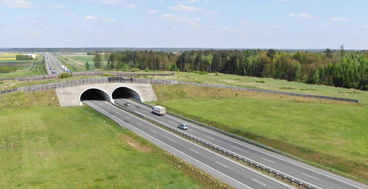 Fragment ekspresówki w rejonie Wrocławia przejdzie w tym roku remont