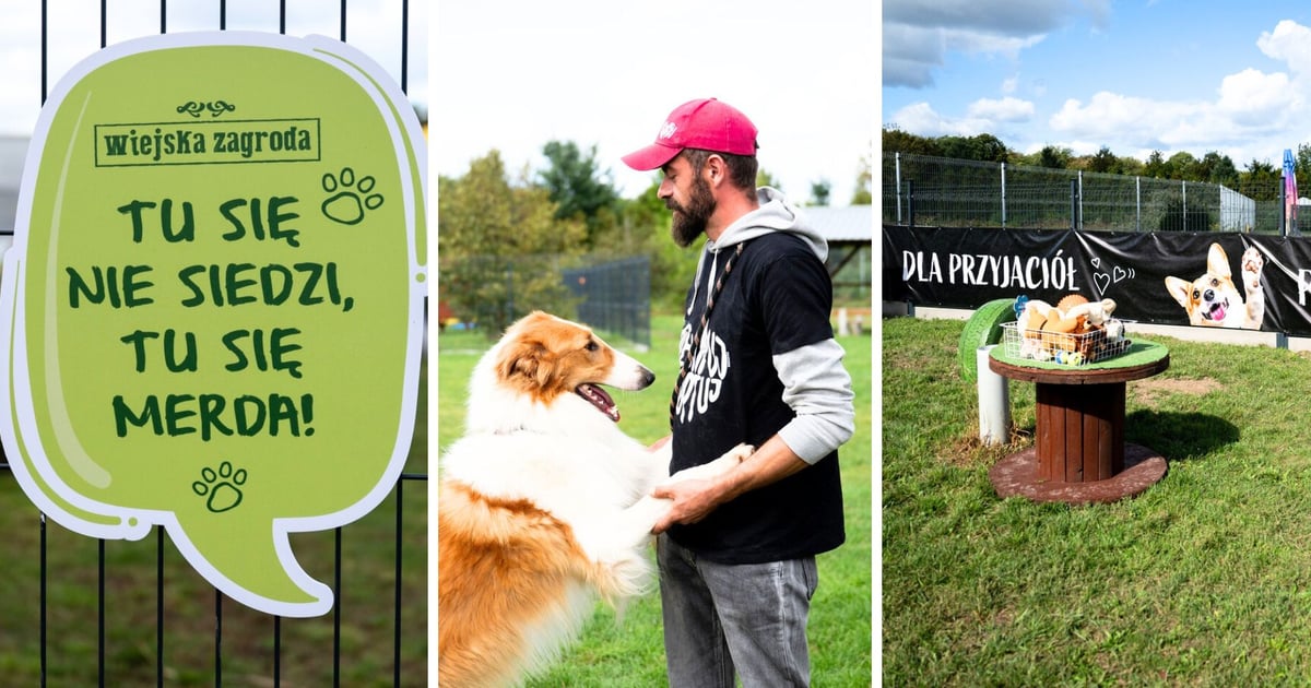 Nowe wybiegi dla psów w TOZ Schronisku dla Bezdomnych Zwierząt [ZDJĘCIA]