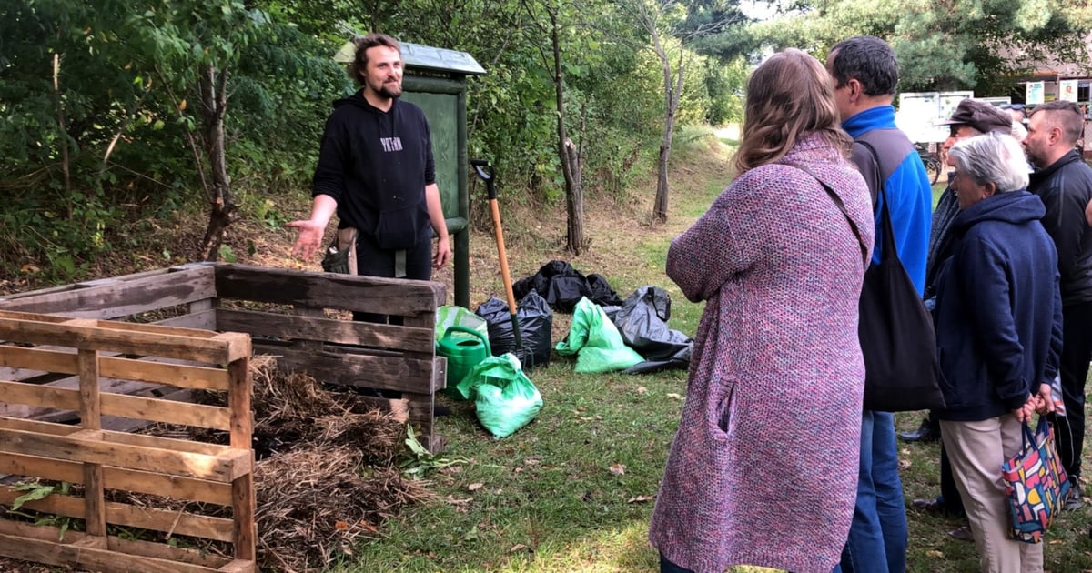 Jak tanio zbudować kompostownik i używać go skutecznie?
