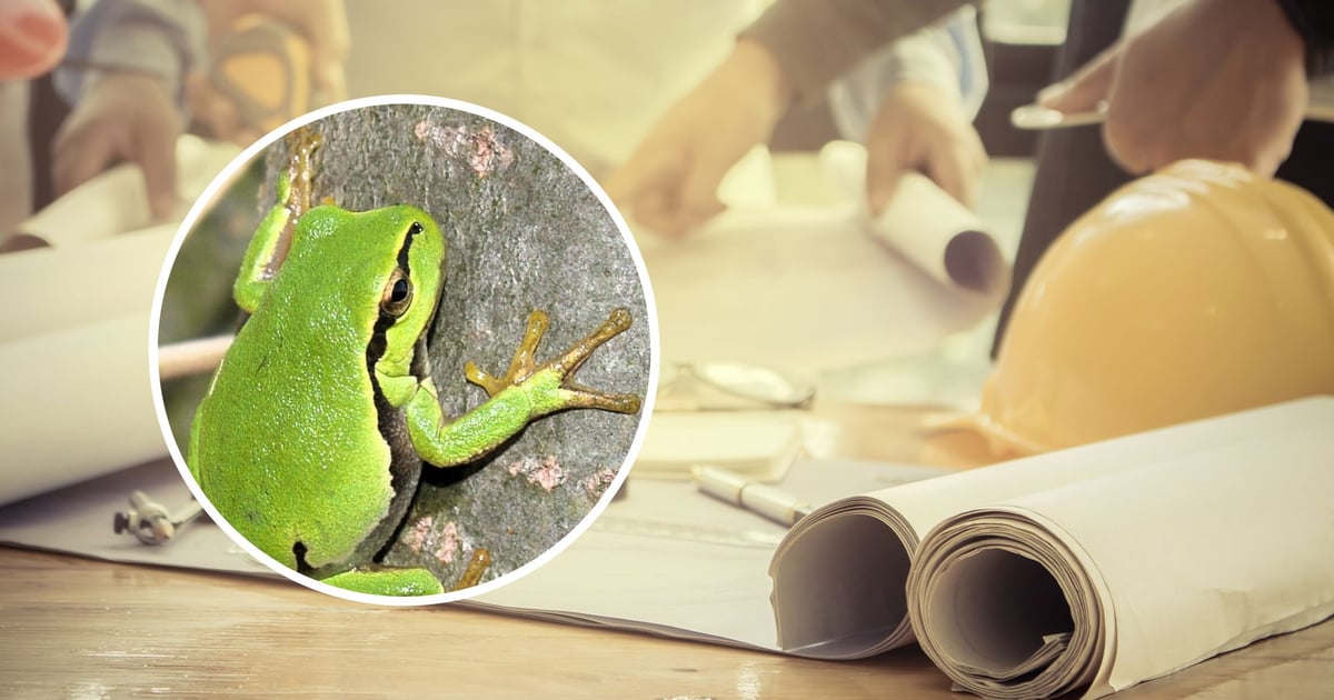 Nowy projekt obwodnicy uwzględni ochronę cennych gatunków