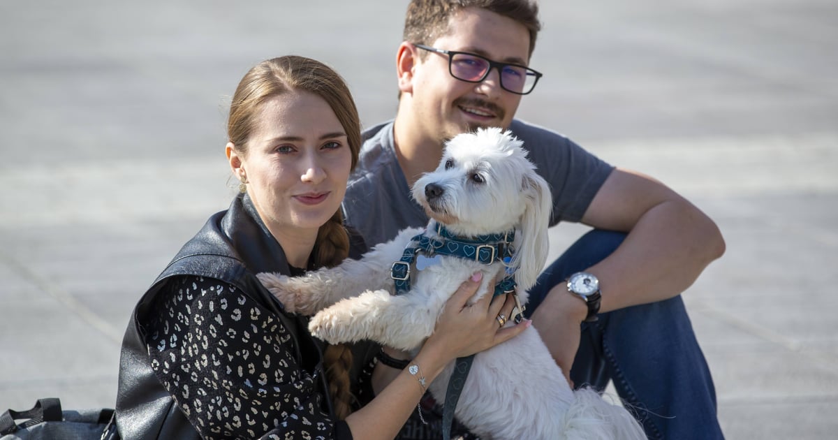 Hau are you? Przyjdź z pupilem na paradę 21.09 [ZDJĘCIA]