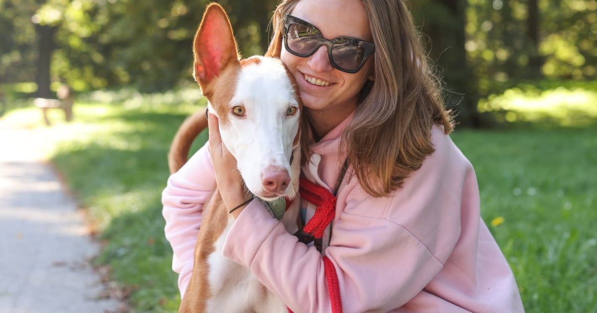 Dostojne i przeurocze czyli Charytatywny Spacer z Chartami w szczytnym celu