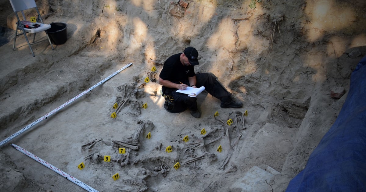 Szczątki obrońców Lwowa odnależli specjaliści z IPN i medycyny sądowej