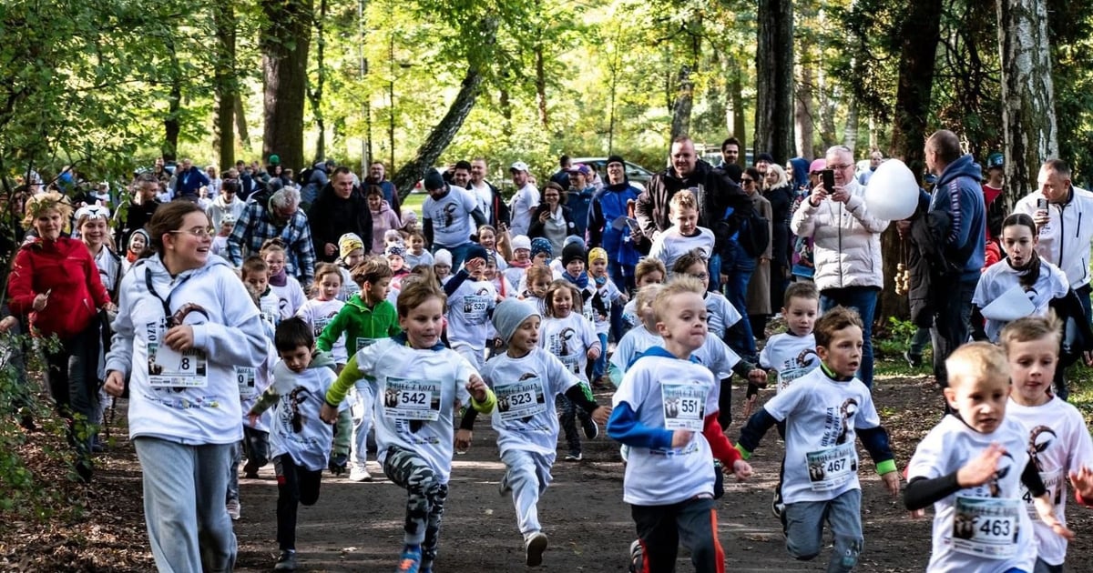 Królewski Bieg z Kozą na Kozanowie - sport, historia i wielki festyn!