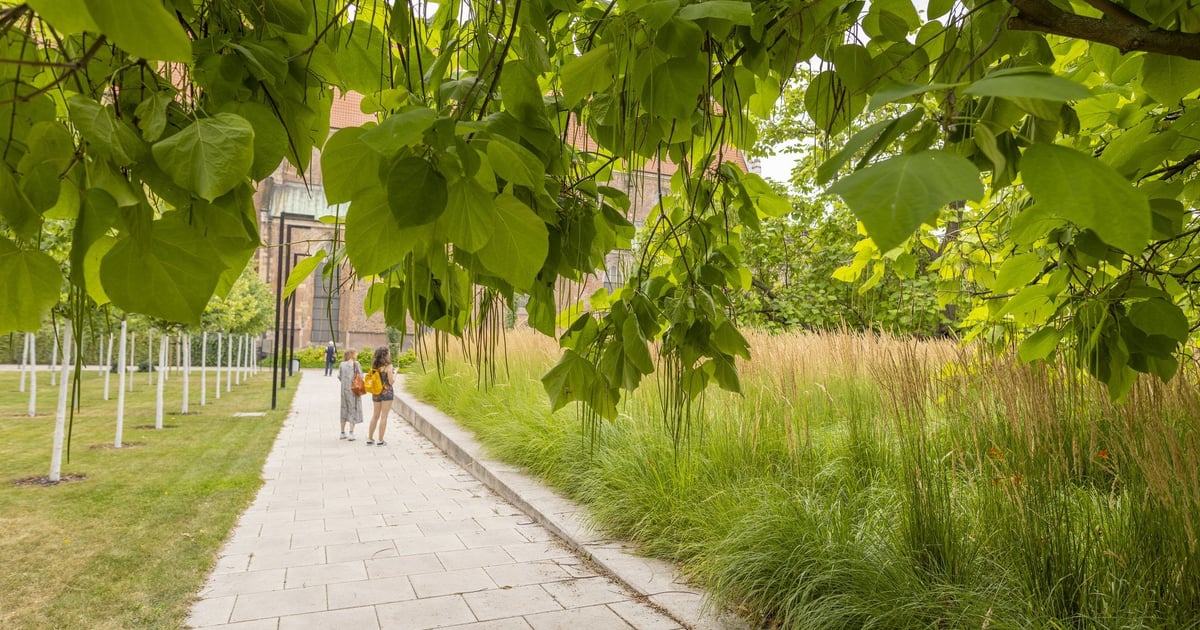 Skaczącej Gwiazdy i inne. Skąd wzięły się nazwy wrocławskich skwerów?