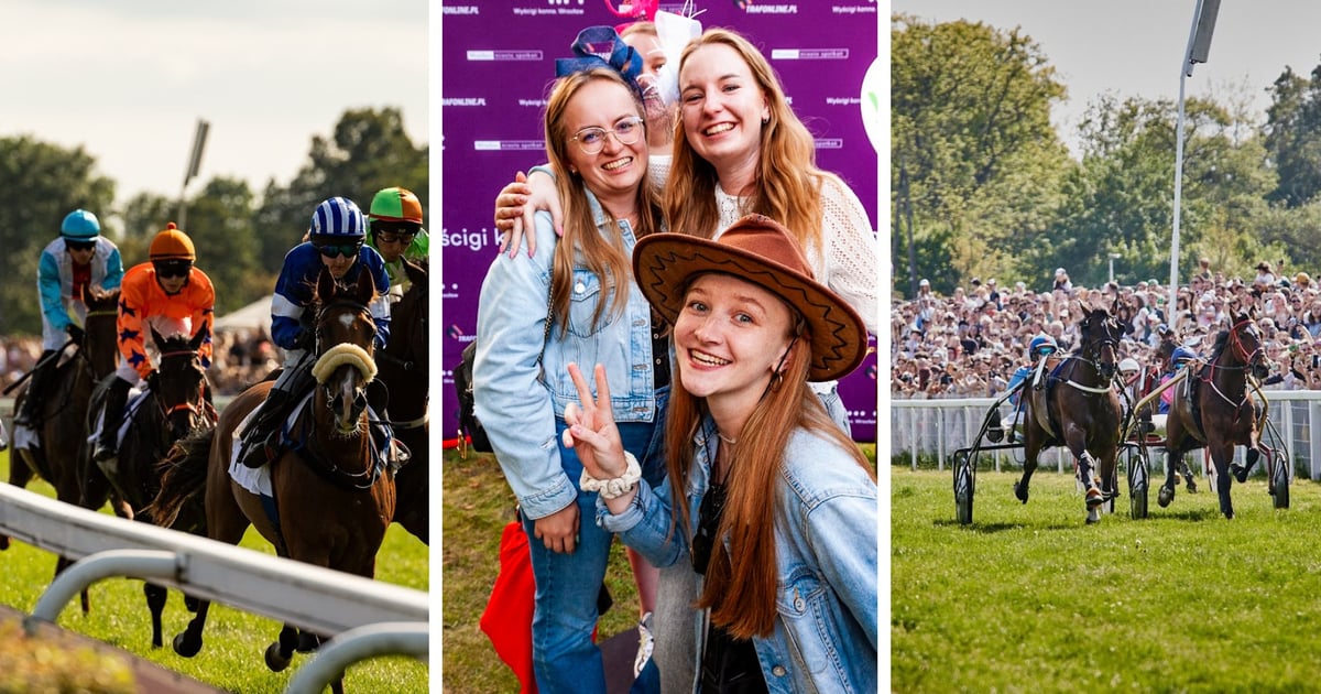 Selfie z koniem i rodeo na mechanicznym byku. Atrakcje Student’s Day na Partynicach