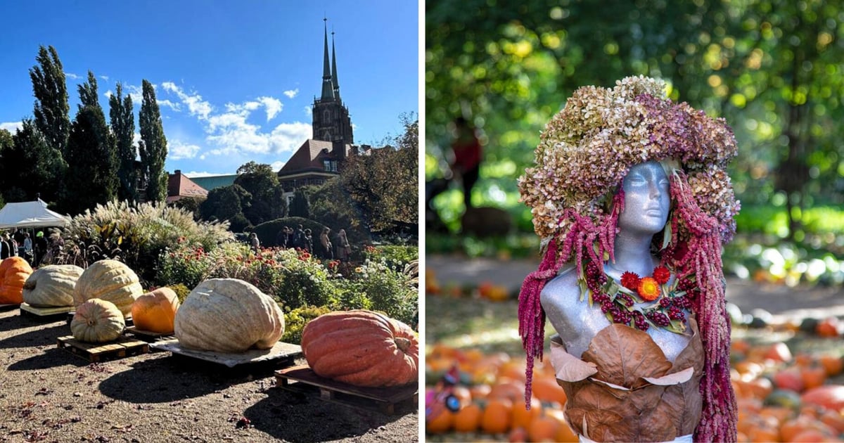Festiwal Dyni w Ogrodzie Botanicznym w tę niedzielę. Co w programie?
