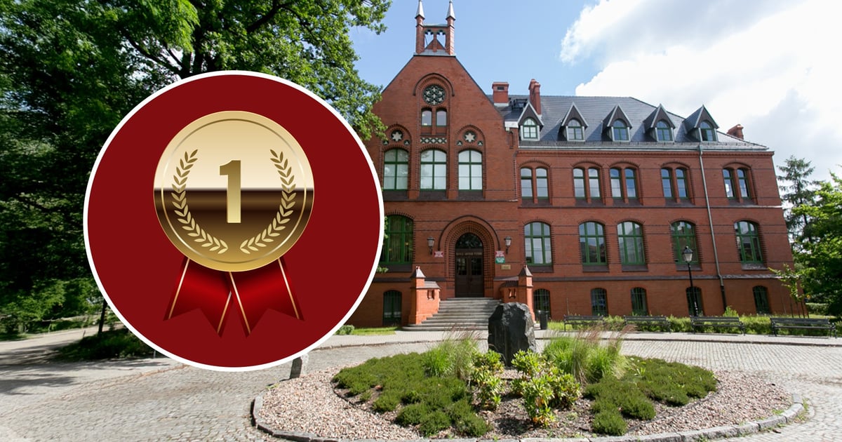 Uniwersytet Medyczny na 1. miejscu w kraju w prestiżowym rankingu THE 2026