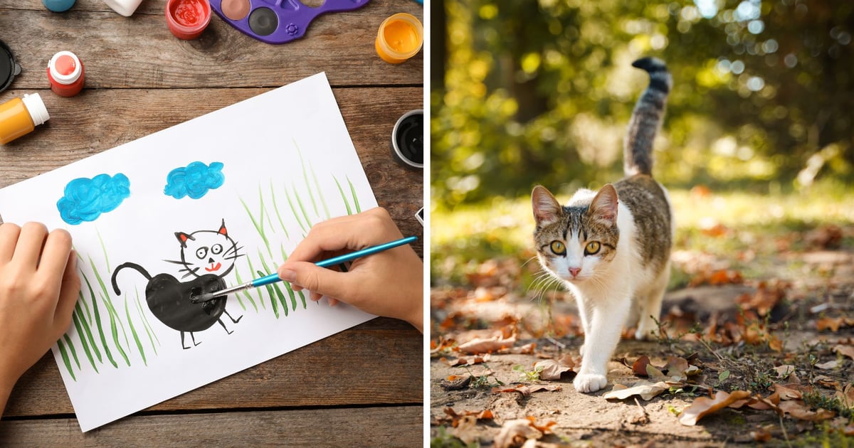 Świat oczami kota wolno żyjącego. Uczniowie, ten konkurs jest dla Was!