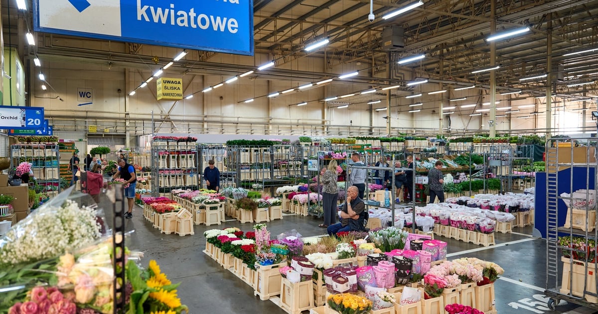 Zakupy na działkę lub na cmentarz we Wrocławiu. Co dostaniesz na Giełdzie Kwiatowej?