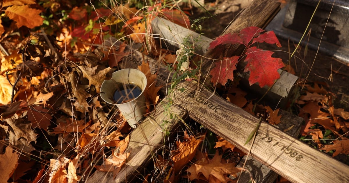 Wspólne sprzątanie zapomnianych grobów na cmentarzu Kiełczowskim