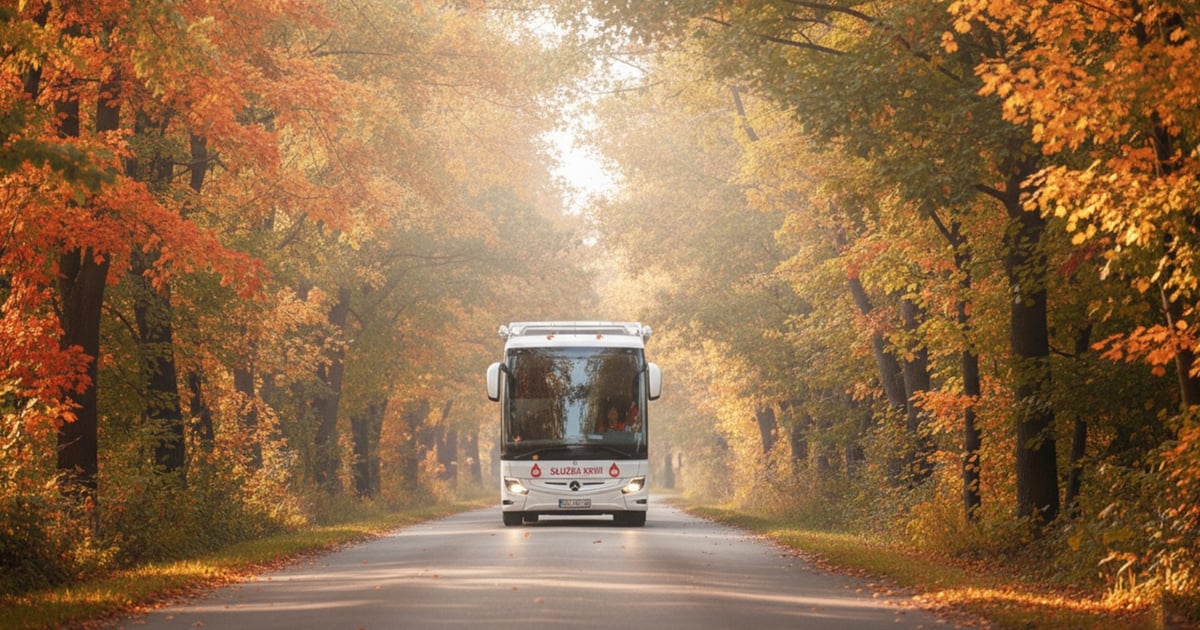 Akcja krwiodawstwa pod Aquaparkiem. Jak się przygotować?