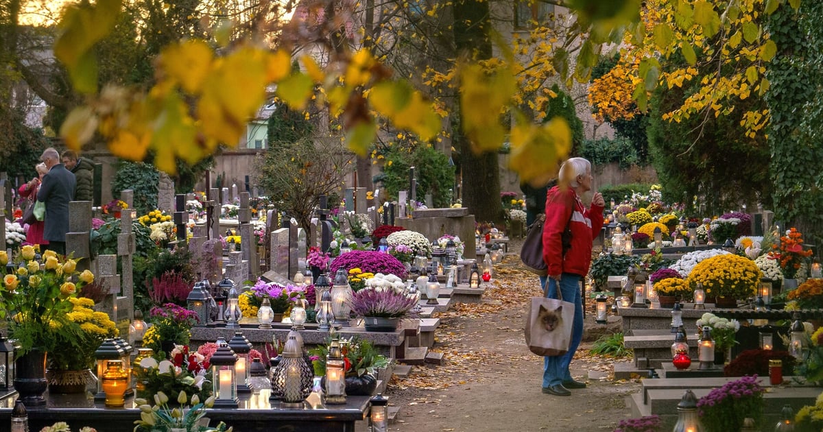 Spacerem przez cmentarz na Bujwida – szlakiem weteranów