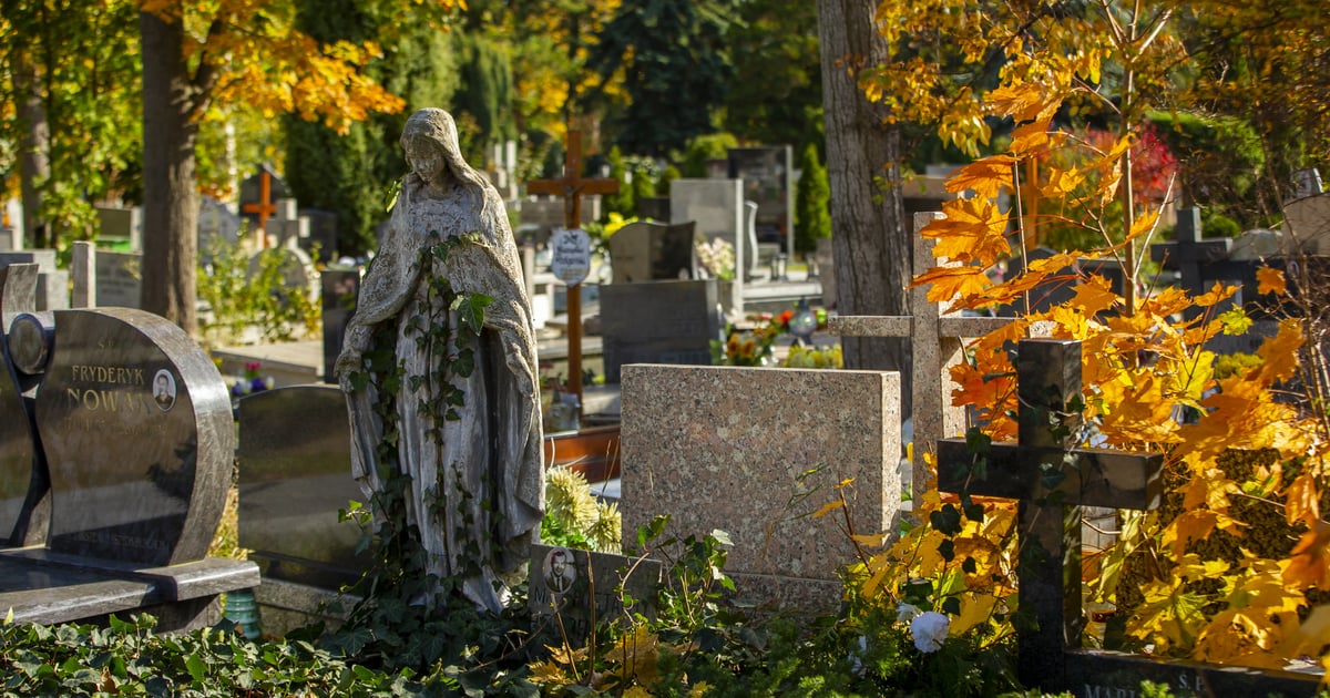 Pomaluj tuje i zabierz na cmentarz patyczki do grilla. Po co?