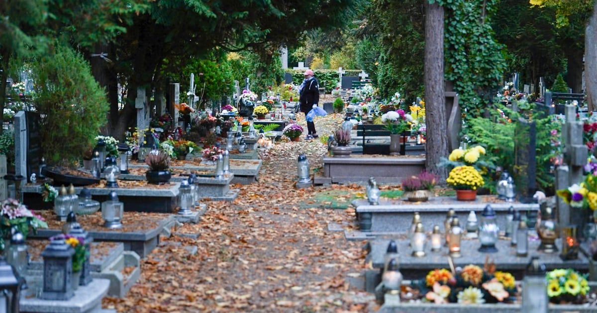 Przygotowania do Wszystkich Świętych na cmentarzu Grabiszyńskim