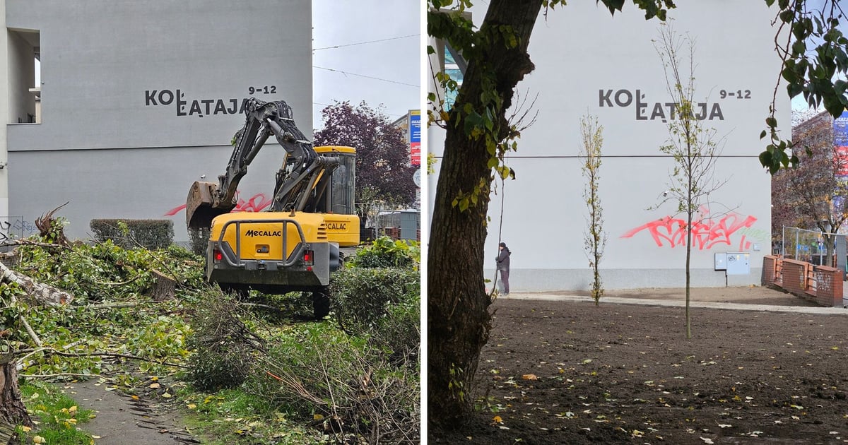 Kołłątaja coraz bardziej zielona. realizowane są prace przy Mezonetowcu
