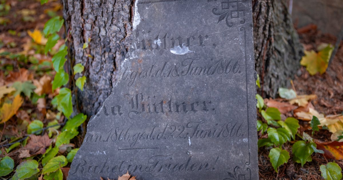 W Ogrodzie Botanicznym odkryto pozostałości historycznego cmentarza