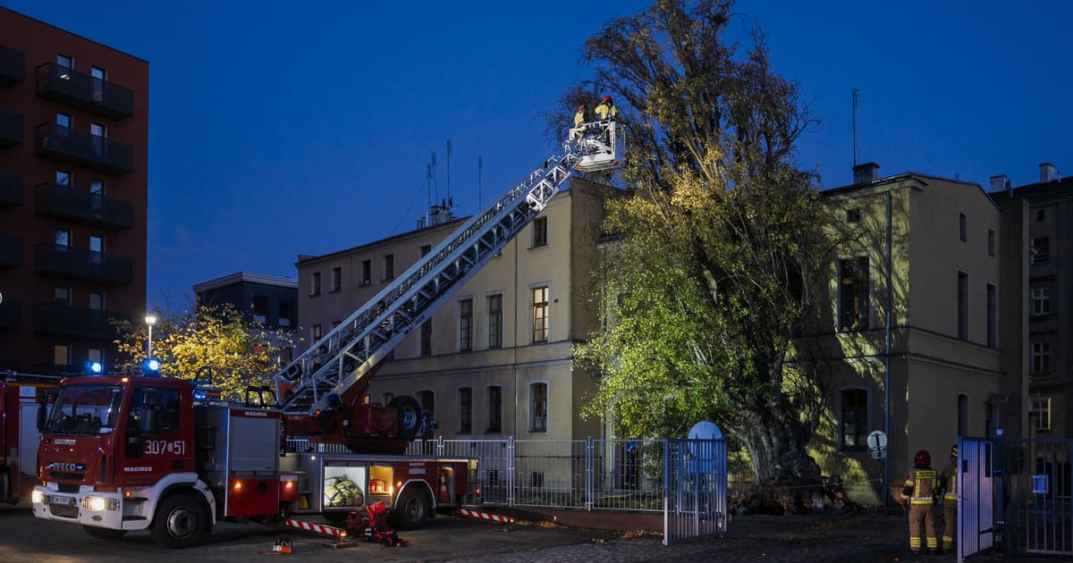Drzewo spadło na budynek przy Tęczowej. Trwa akcja Straży Pożarnej