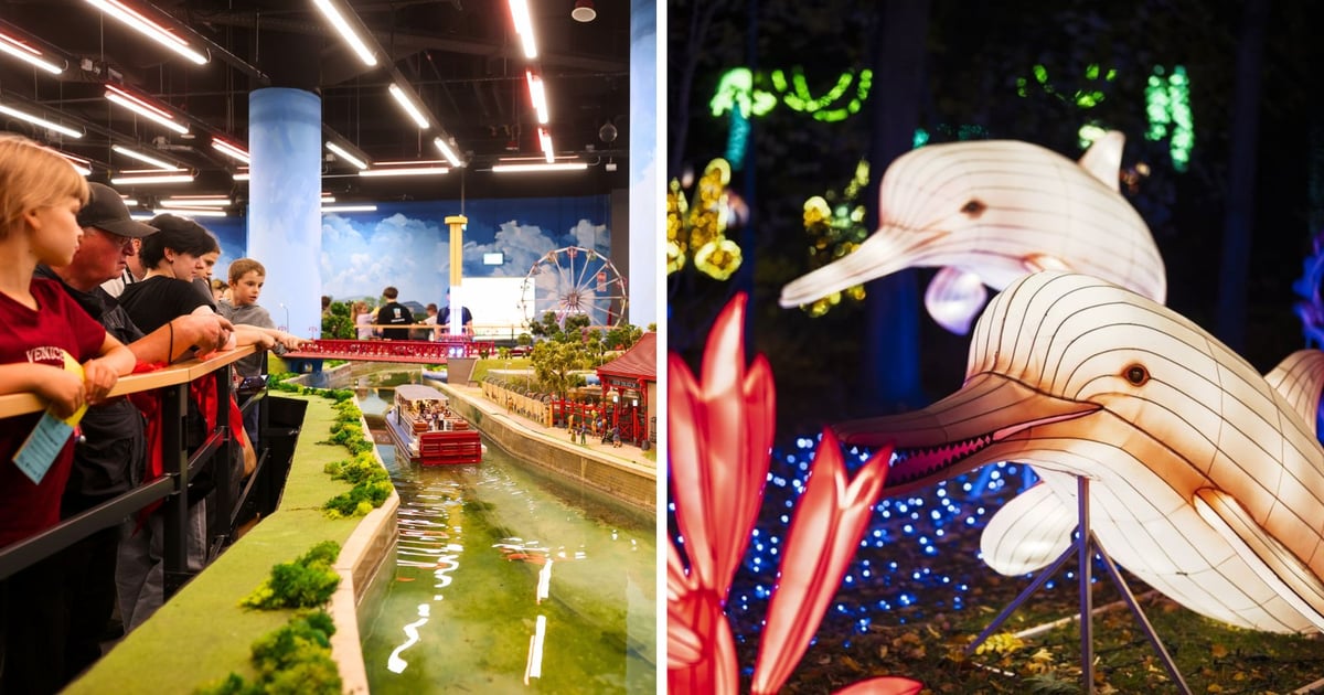 Wszystkich Świętych 2025. Które wrocławskie atrakcje będą otwarte 1 listopada?