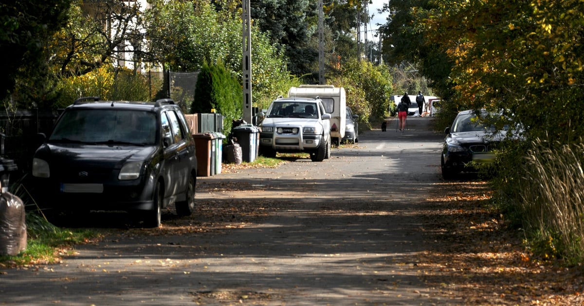 Konkurs „Zielona Wspólna Turoszowska” trwa. Prace można zgłaszać do 14 listopada