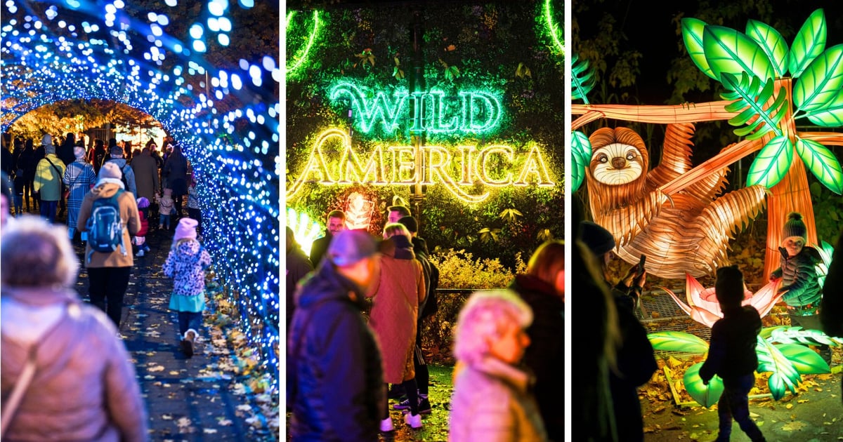 Byliście już na wystawie Garden of Lights: Dzika Ameryka. Wygrajcie podwójne zaproszenia [KONKURS]