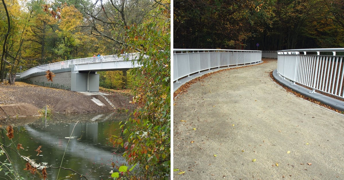 Leśna kładka już otwarta. Przejedziesz rowerem na drugi brzeg Widawy