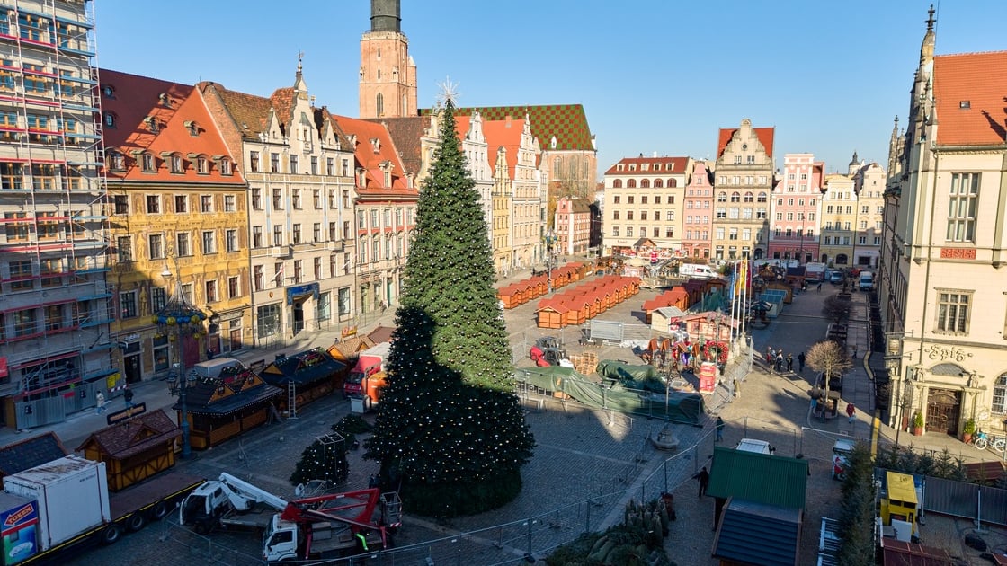 24-metrowa choinka już jest na Rynku. Kiedy rozświetlenie?