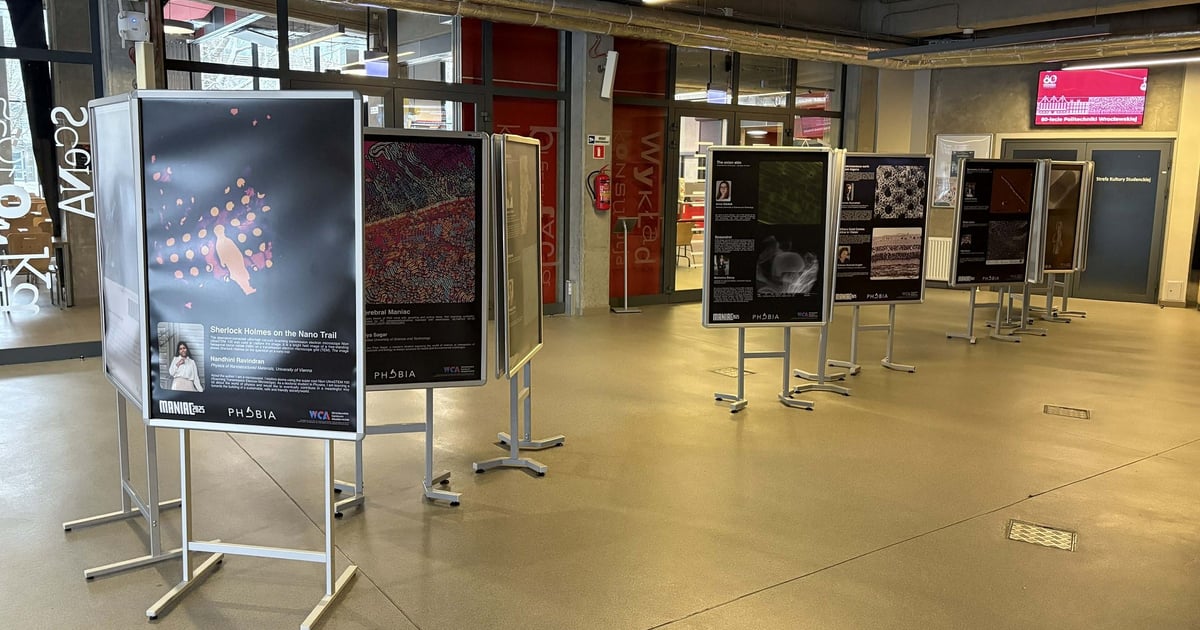 Czy mikroskopowanie może być sztuką? Jasne! Trwa wystawa fotografii konkursowych na PWr