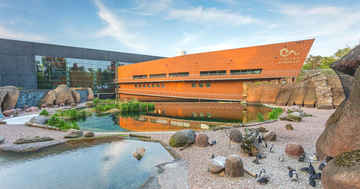 Rusza konkurs architektoniczny "Piękny Wrocław". Zgłoś swoją nominację