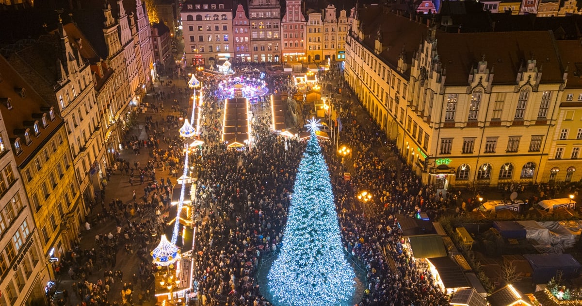 Świeci już wrocławska choinka w Rynku! Zebrani wypowiedzieli magiczne zaklęcie